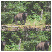 Alpha Black Bear Stoff (Nahaufnahme)