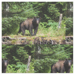 Alpha Black Bear Stoff