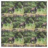 Alpha Black Bear Stoff (Muster)