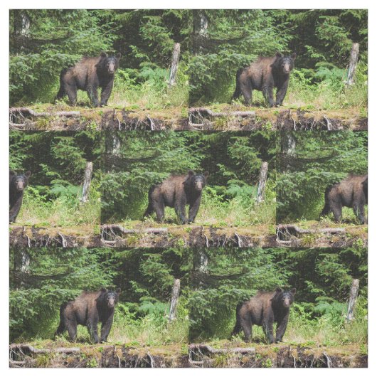 Alpha Black Bear Stoff (Muster)