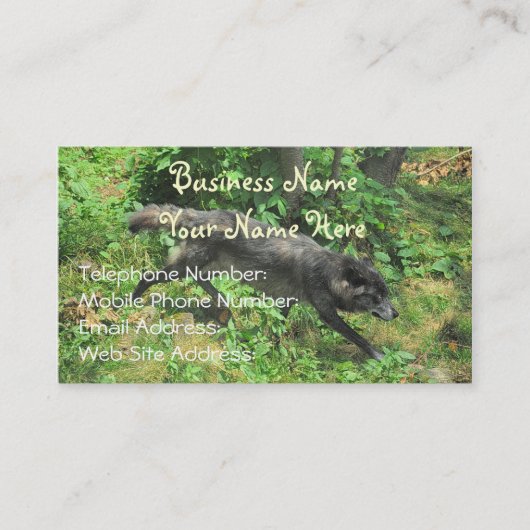 Alpha Gray Wolf - Summer Wildlife Business Cards Visitenkarte (Vorderseite)