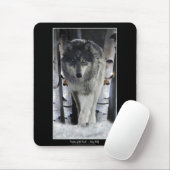 Alpha Gray Wolf & Winter Birch Trees Mousepad (Mit Mouse)