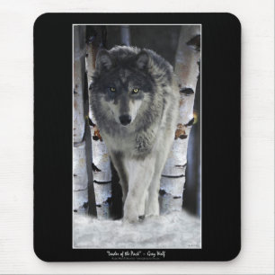 Alpha Gray Wolf & Winter Birch Trees Mousepad
