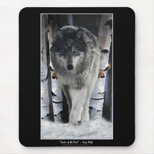 Alpha Gray Wolf & Winter Birch Trees Mousepad (Vorne)
