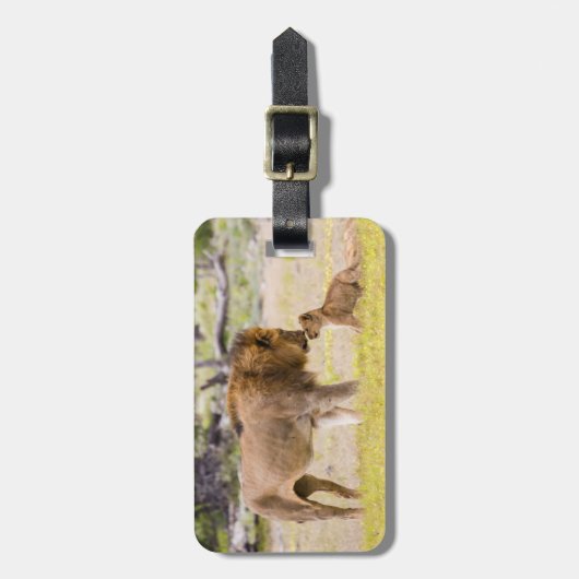 Alpha-Männerkleie untersucht Junge Gepäckanhänger (Vorderseite vertikal)