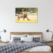 Alpha-Männerkleie untersucht Junge Leinwanddruck (Insitu (Schlafzimmer))