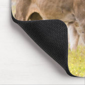 Alpha-Männerkleie untersucht Junge Mousepad (Ecke)