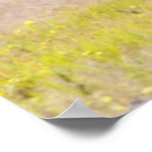 Alpha-Männerkleie untersucht Junge Poster (Ecke)