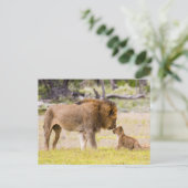 Alpha-Männerkleie untersucht Junge Postkarte (Stehend Vorderseite)