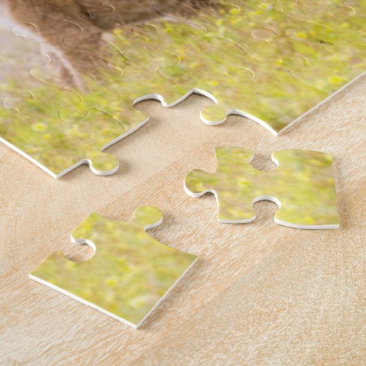 Alpha-Männerkleie untersucht Junge Puzzle (Seite)