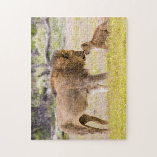 Alpha-Männerkleie untersucht Junge Puzzle (Vertikal)