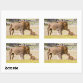 Alpha-Männerkleie untersucht Junge Rechteckiger Aufkleber (Blatt)