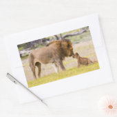 Alpha-Männerkleie untersucht Junge Rechteckiger Aufkleber (Umschlag)