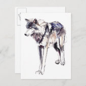 Alpha Postkarte (Vorne/Hinten)