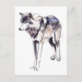 Alpha Postkarte (Vorderseite)