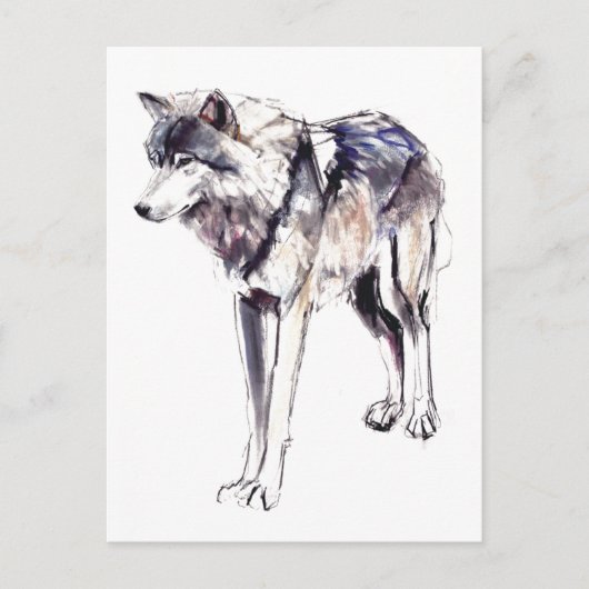 Alpha Postkarte (Vorderseite)