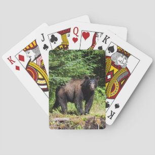 Alpha Schwarzbär Spielkarten