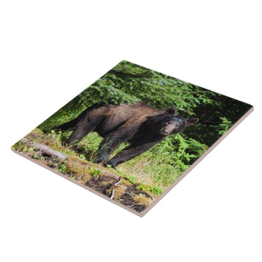 Alpha schwarzer Bär Fliese (Seite)