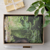 Alpha schwarzer Bär Seidenpapier (Geschenk)