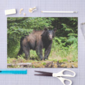 Alpha schwarzer Bär Seidenpapier (Handwerk)