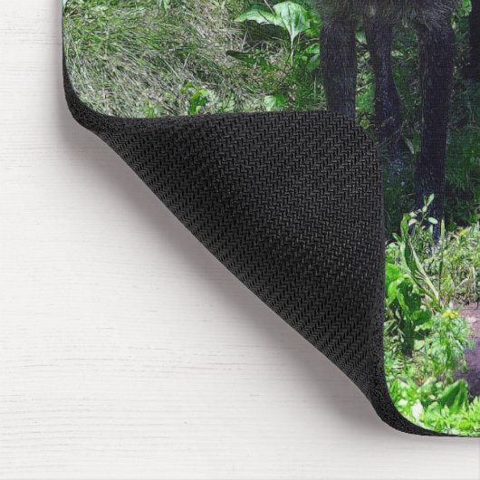 Alpha Timber Wolf & Gray Wolf Cub Wildlife Art Mousepad (Ecke)