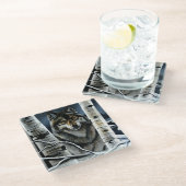 Alpha Timber Wolf Poplar Trees Glasuntersetzer (Schrägansicht)