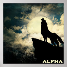 Alpha Wolf Howling am Vollmond