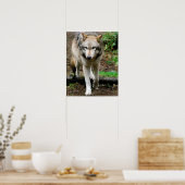 Alpha Wolf Poster (Küche)