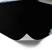 Alpha Wolf Poster (Ecke)