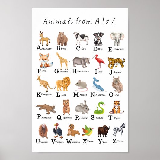 Alphabet Animal A - Z Children Educational Kinderz Poster (Vorne)