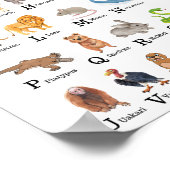 Alphabet Animal A - Z Unterrichtsraum Poster (Ecke)