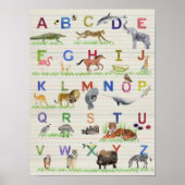 Alphabet Animals Poster (Vorne)