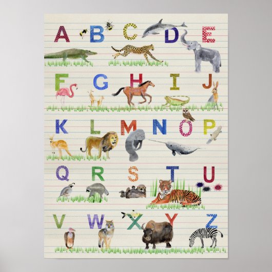 Alphabet Animals Poster (Vorne)