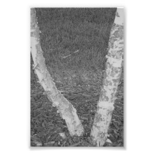 Alphabet-Buchstabe-Fotografie V3 Schwarzweiss-4x6 Fotodruck