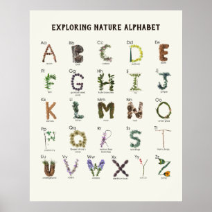 Alphabet der Natur erkunden   Wald ABC Kindergarte Poster
