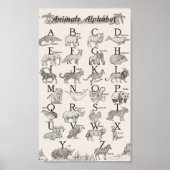 Alphabet der Tiere Poster (Vorne)