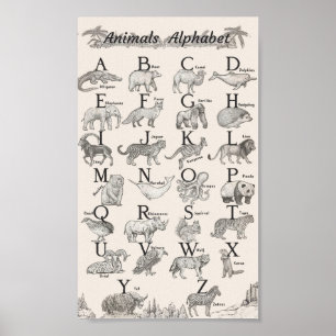 Alphabet der Tiere Poster
