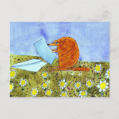 Alphabet Fiesta Armadillo Postkarte (Vorderseite)