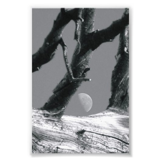 Alphabet Letter Fotografie M7 Schwarzweiß 4x6 (Vorne)