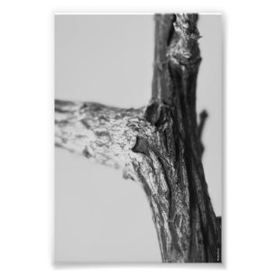 Alphabet Letter Fotografie Y8 Schwarz und Weiß 4x6