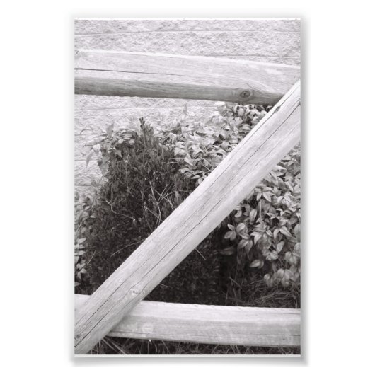 Alphabet Letter Fotografie Z2 Schwarz und Weiß 4x6 (Vorne)