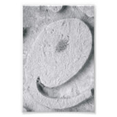Alphabet Letter Fotografy E4 Black and White 4x6 Fotodruck (Vorne)