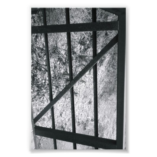 Alphabet Letter Fotografy Z4 Black and White 4x6 Fotodruck (Vorne)