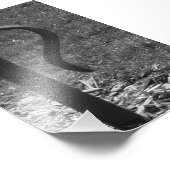 Alphabet Letter R1 Black and White 4x6 Fotodruck (Ecke)