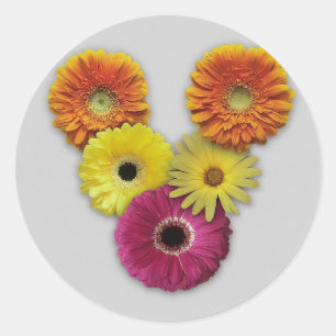 Alphabet V in Blume Runder Aufkleber