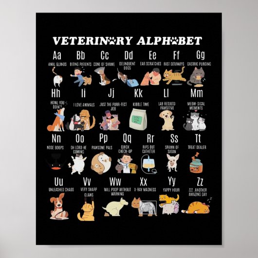 Alphabet Vet Nurse Student Sch Poster (Vorne)