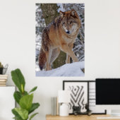 Alphawolf-Mongolen im Schnee Poster (Heimbüro)
