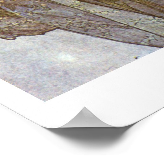 Alphone Mucha ~ The Moon 1902 Poster (Ecke)