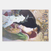 Alphonse Mucha, American Works Geschenkpapier Set (Vorderseite 3)