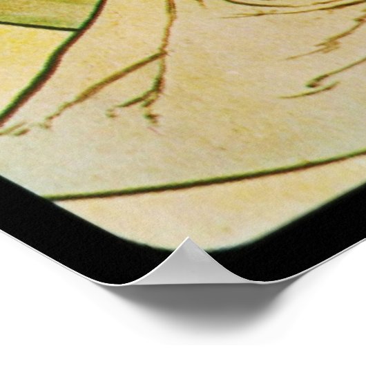 Alphonse Mucha Iris Poster (Ecke)